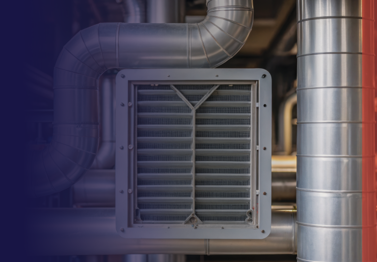 LEV Inspection Process