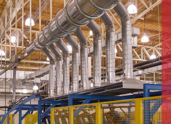 preparing-for-lev-examination-test